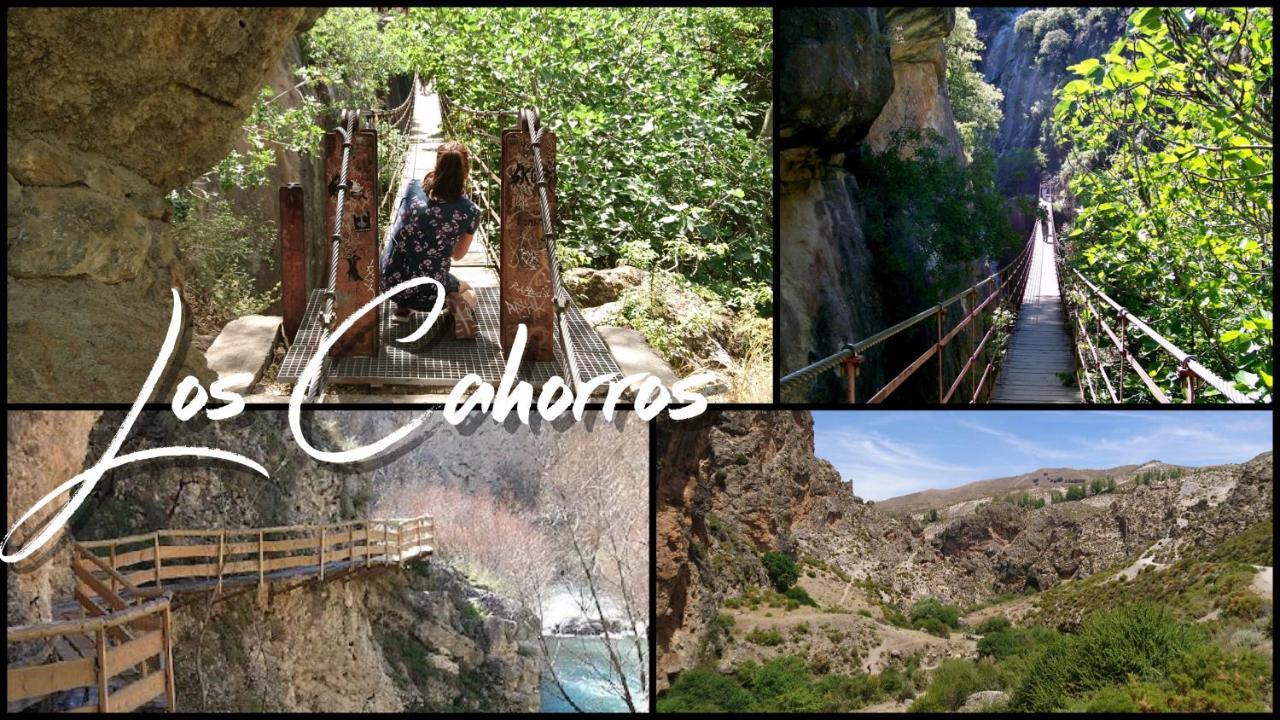 Chalet Trolio Bed & Breakfast Alhendín Екстериор снимка